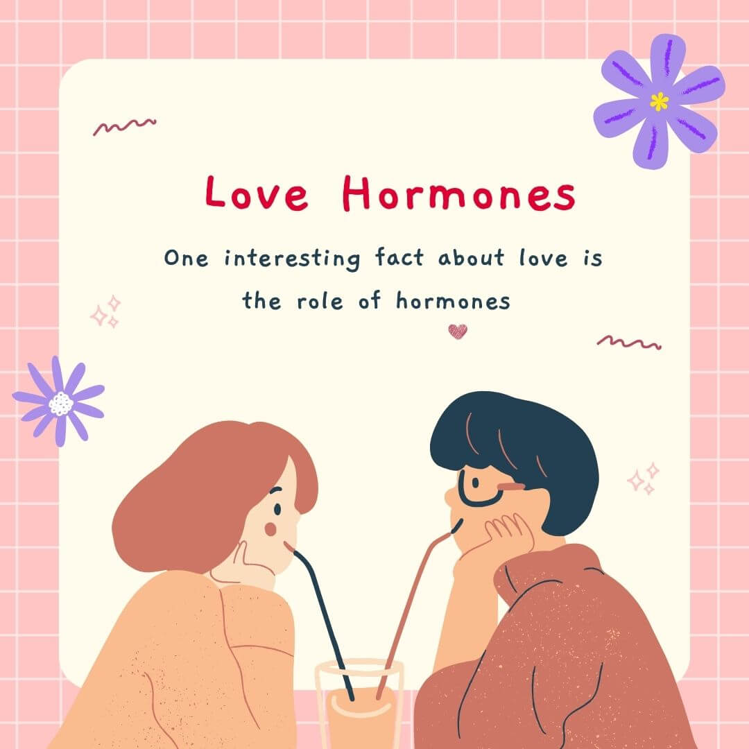 The Science Of Love Hormones