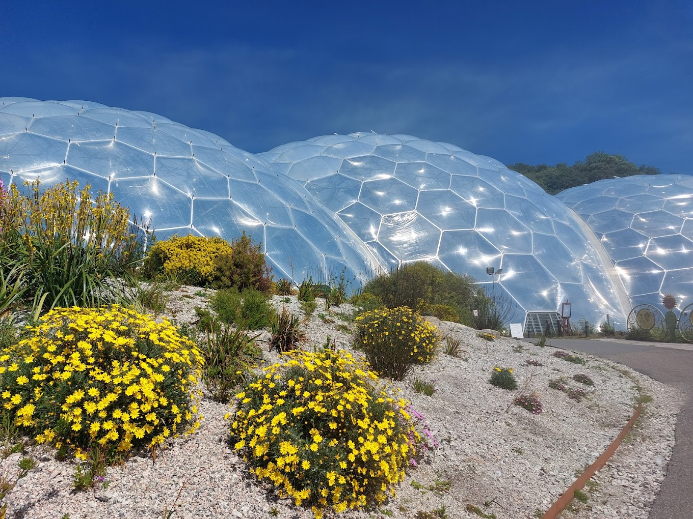 Eden Project, Cornwall