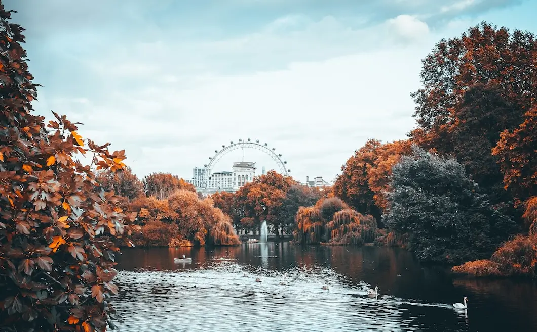 Fall In The UK: UK's Autumn Delights