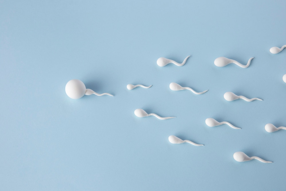 Strategies To Increase Sperm Count Naturally