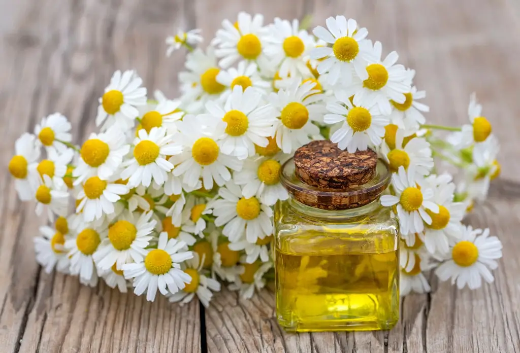 6 Best Skin Essential Oils For Radiant Beauty