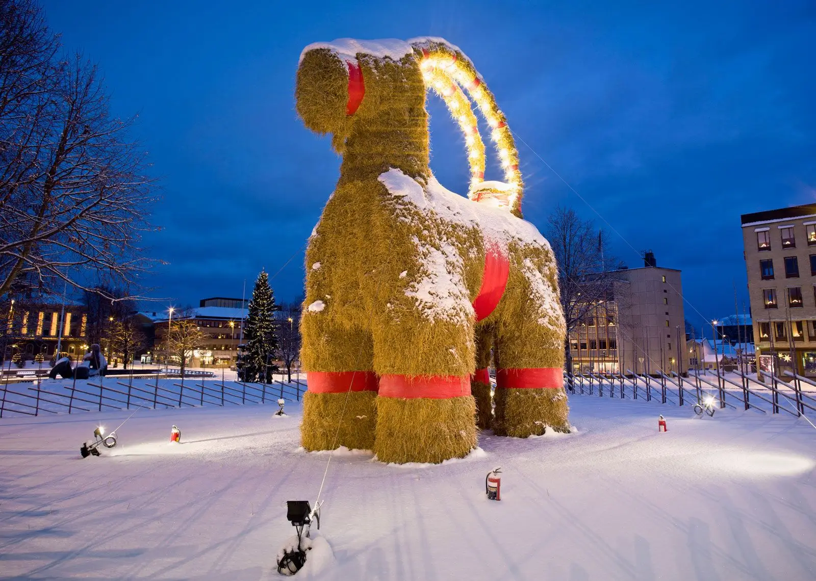 Winter Solstice Celebrations