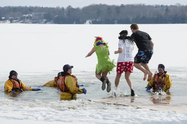 Polar Bear Plunges