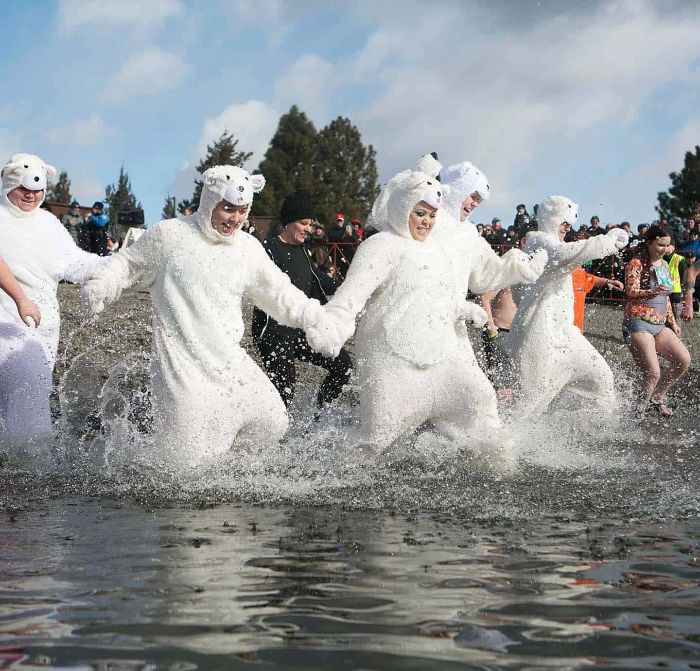 Polar Bear Plunges