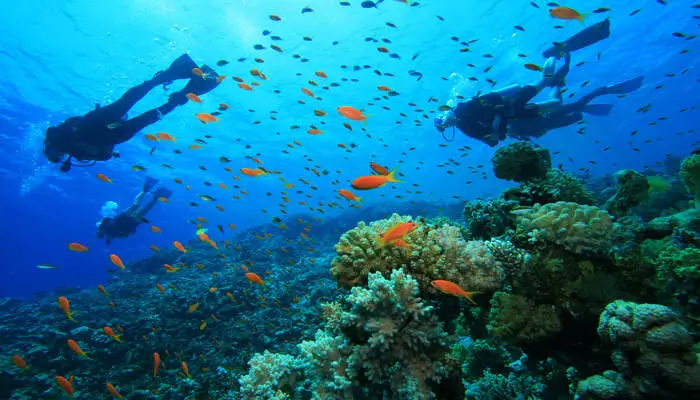 Snorkeling and Diving in Lakshadweep Islands, India