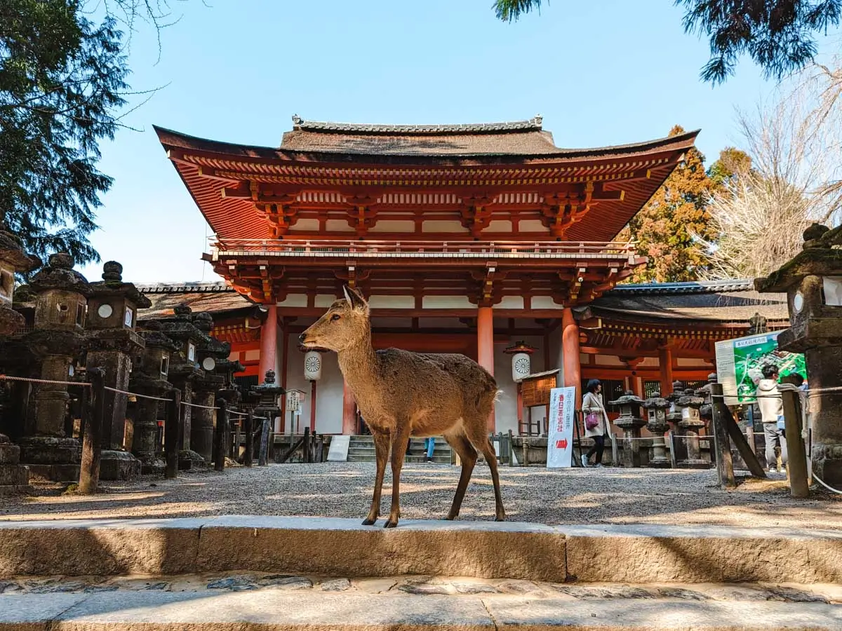 7 Must-Visit Places In Japan