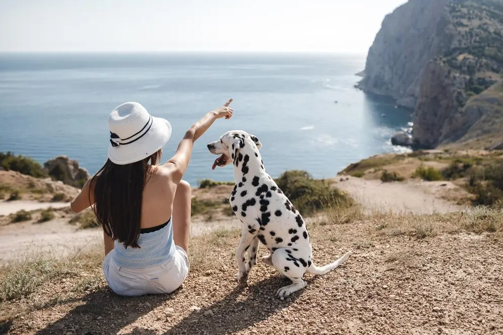 Pet-Friendly Travel tips