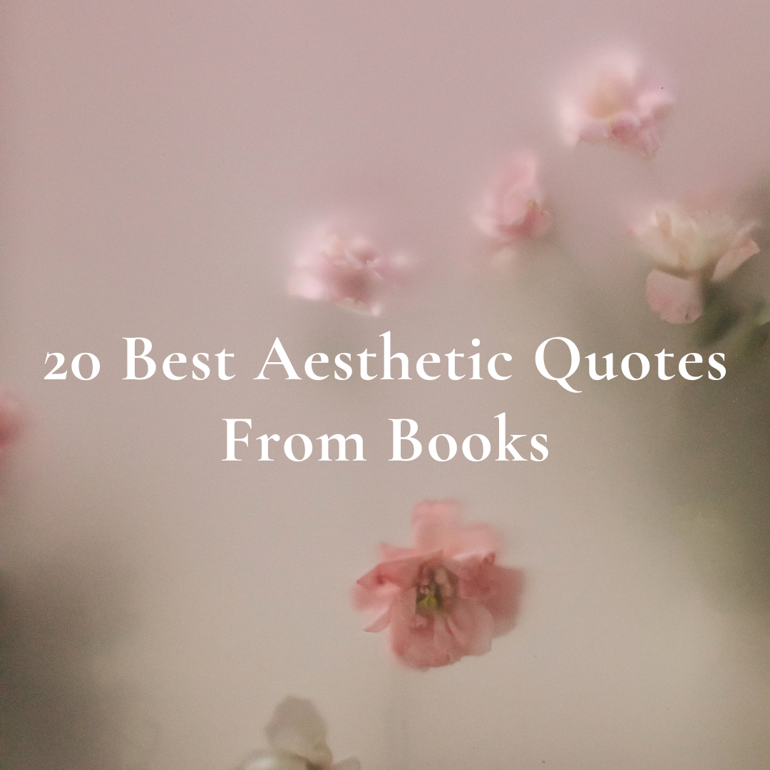 20 Best Aesthetic Quotes From Books